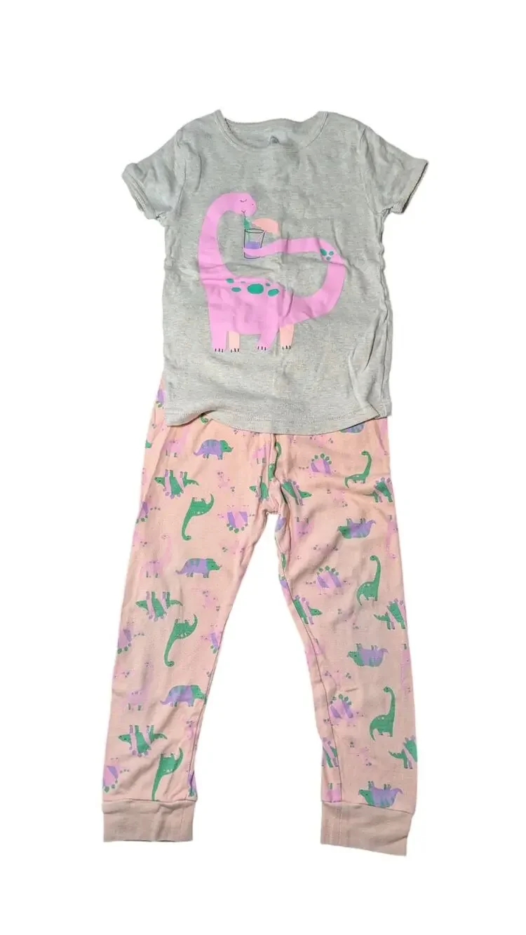 Wonder Nation-Pink Dinosaur Pajamas-Size 5T-Pink Dino Top-Multicolor Dino Bottom